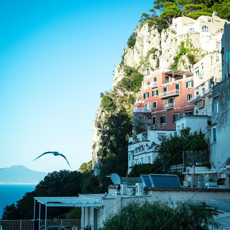 Entertainment zone at night in Portugal
